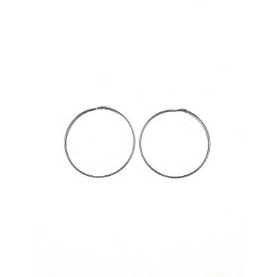 Silver Hoops